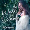 V.M.C. & Amannda - Walls of Science (Remixes) - EP